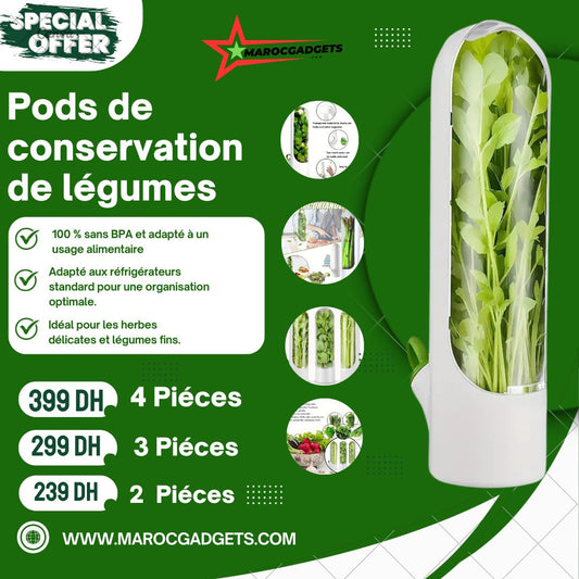 Boîte de conservation d'herbes avec couvercle pour préserver et stocker les légumes